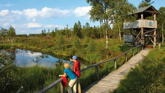 Ferienhaus Ahlborn Uslar Exteriör bild